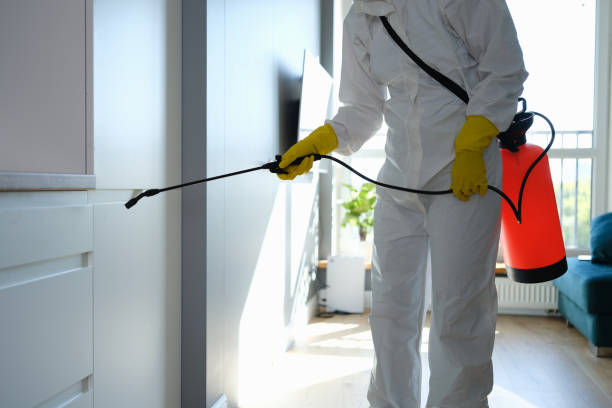 Best Mold Odor Removal Services  in USA